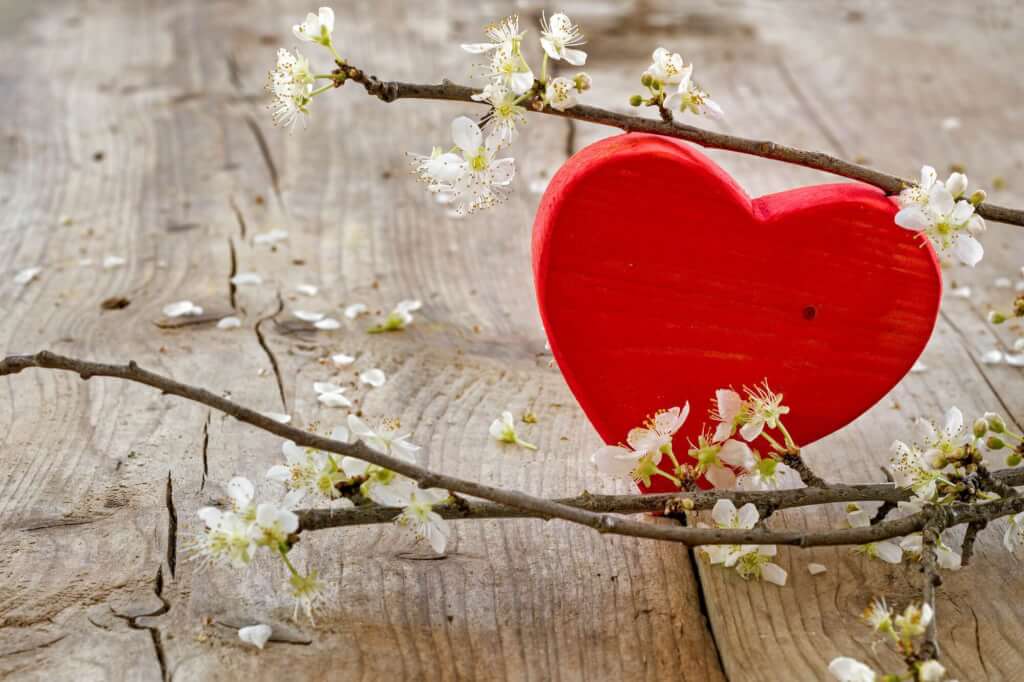 red heart flower brancheson rustic wooden background, love symbo
