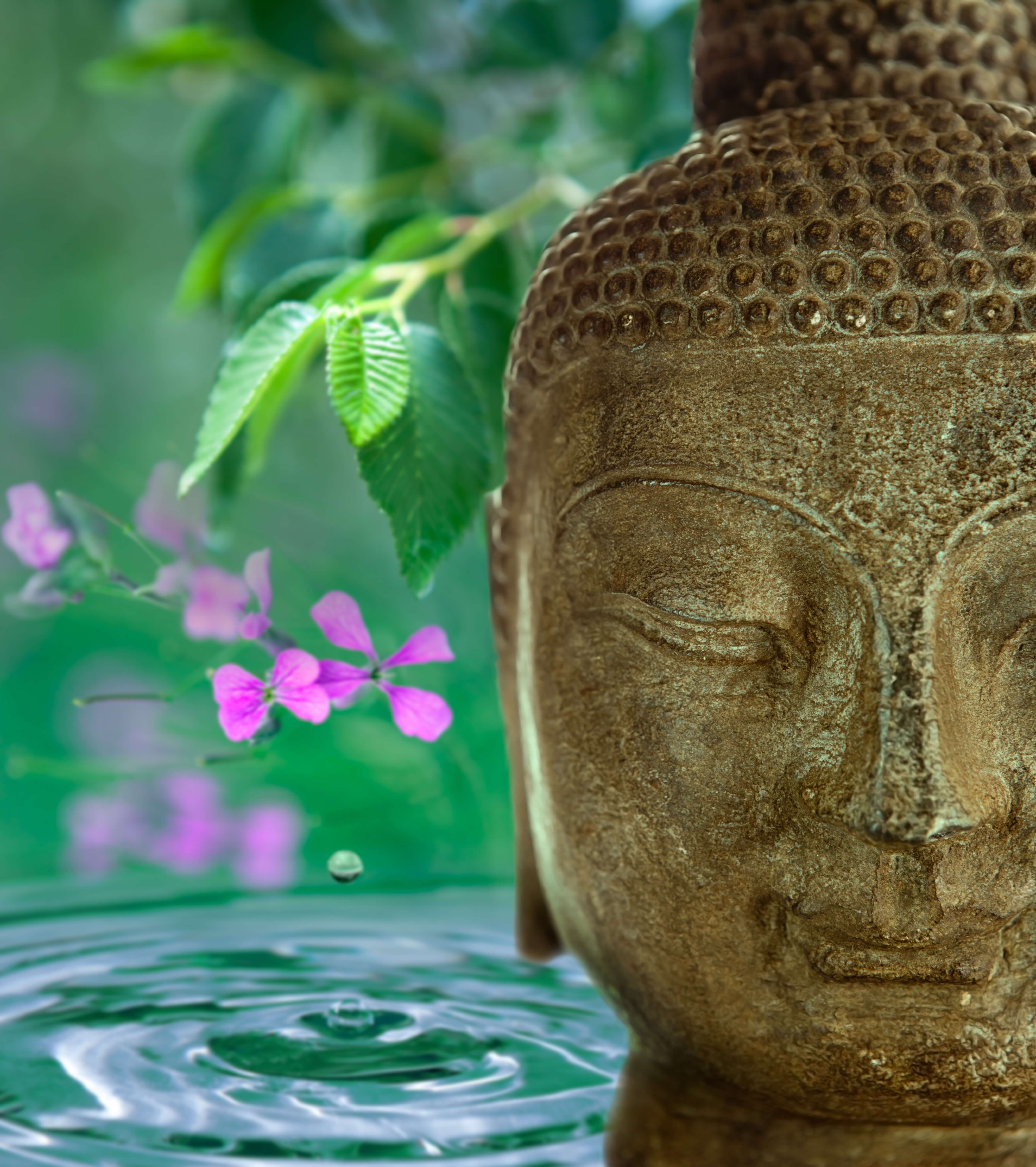 Buddha